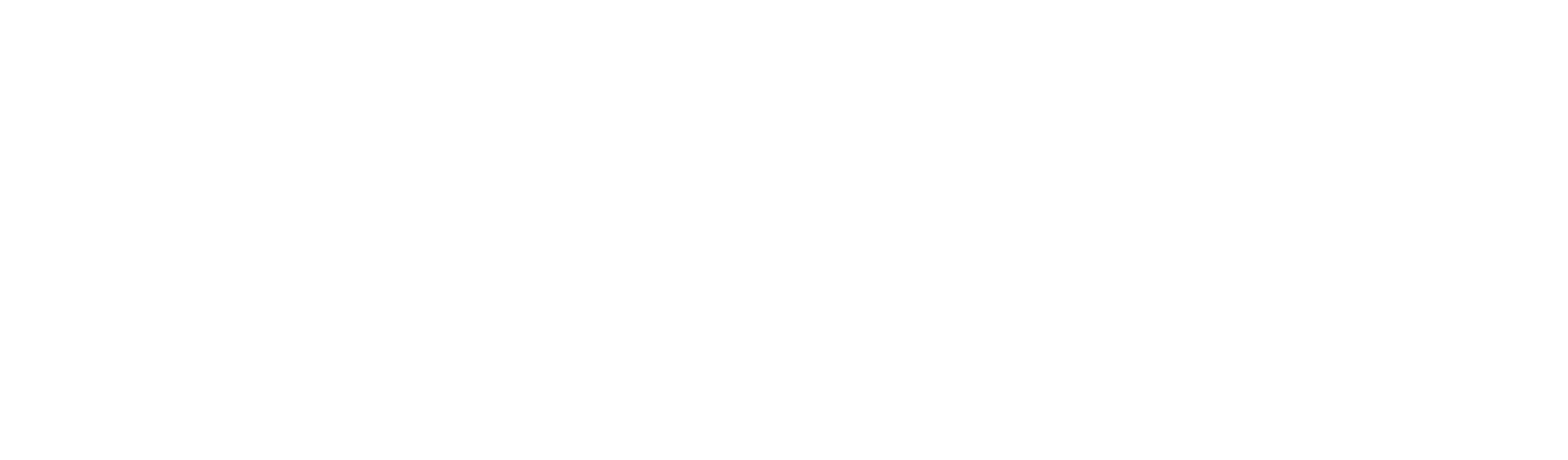 R Spa, logo