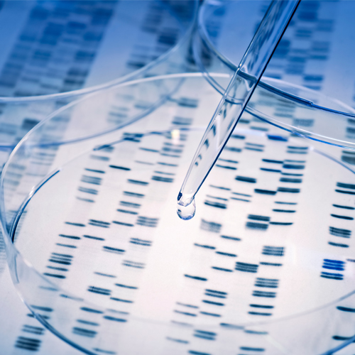 SickKids Innovators helped fund a pilot study to diagnose patients with a rare disease or cancer, using RNA-sequencing as an additional tool in 500 patients. 